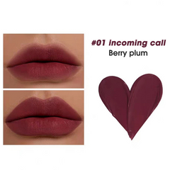 5 Colors Velvet Matte Waterproof Heart Shape Lip Gloss